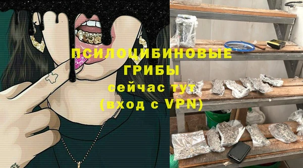 ECSTASY Горнозаводск